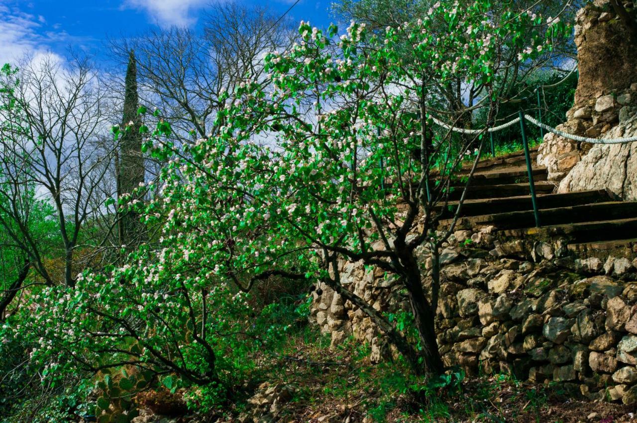 Mas De Font Chaude Bed and Breakfast Clermont-lʼHérault Exterior foto